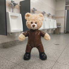 Brown bear